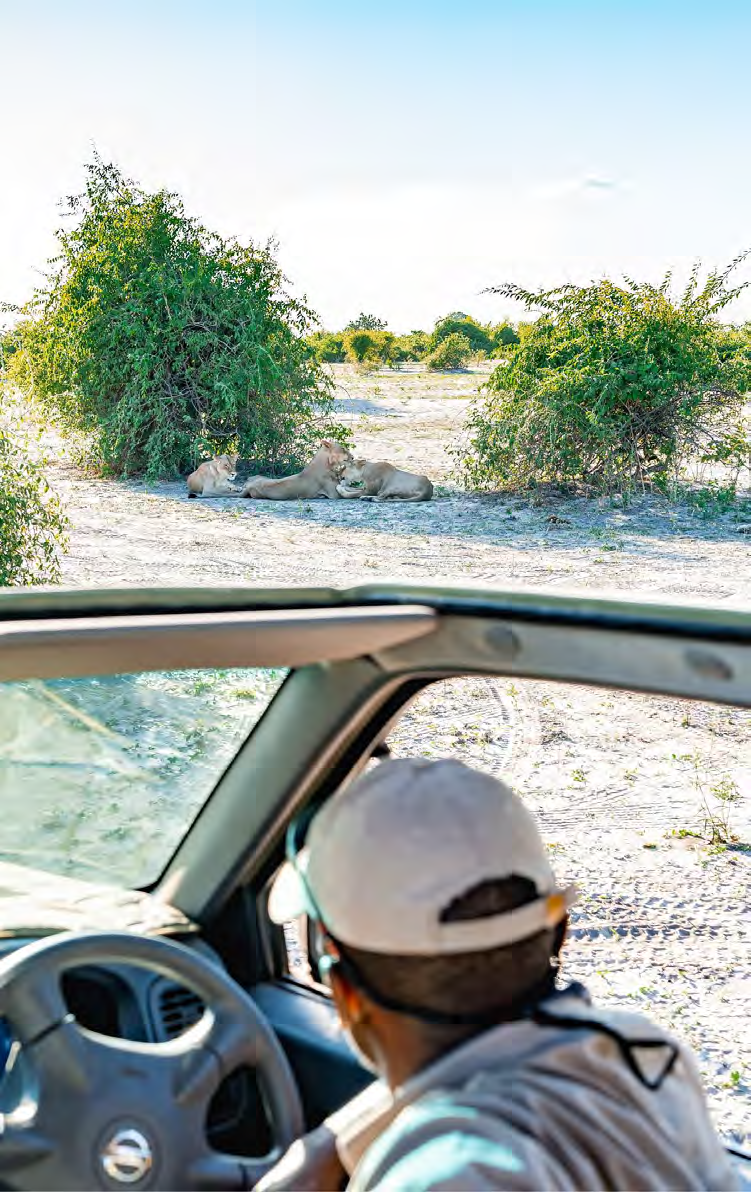 Livingstone & Chobe PDF Image 6