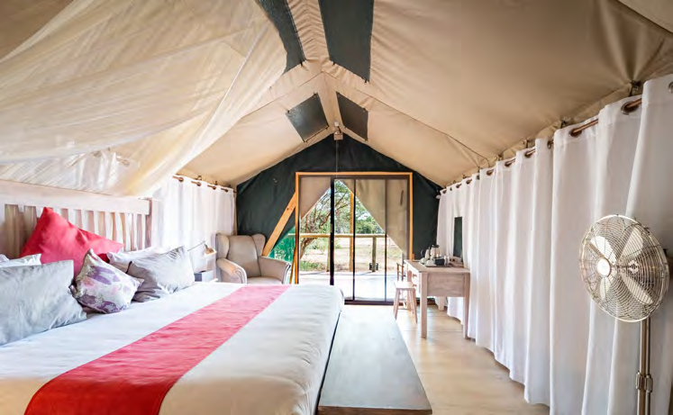 Livingstone & Chobe PDF Image 7