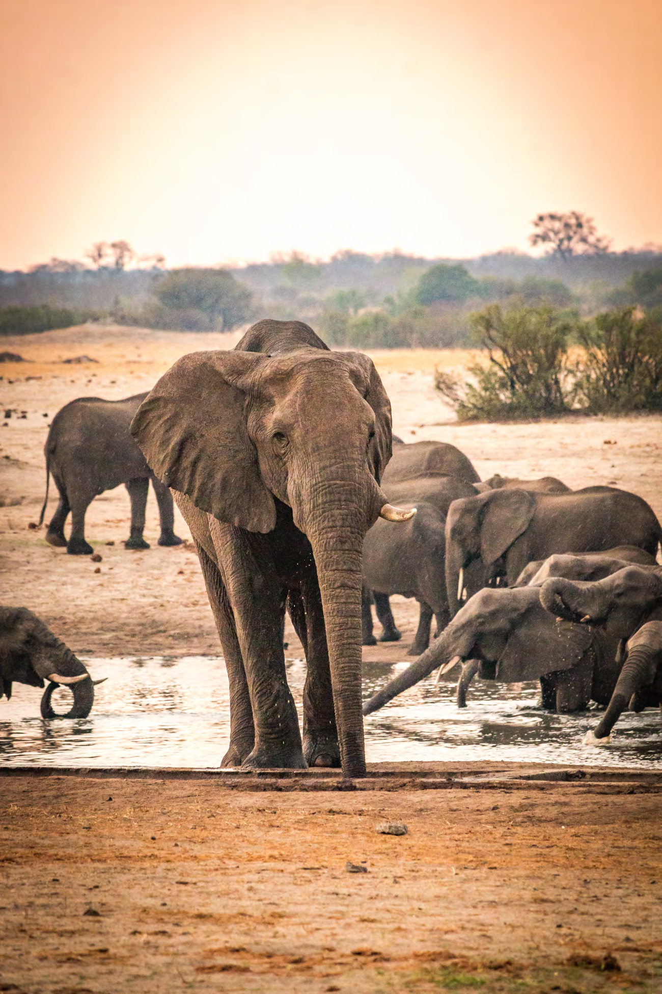 Victoria Falls & Hwange PDF Image 1